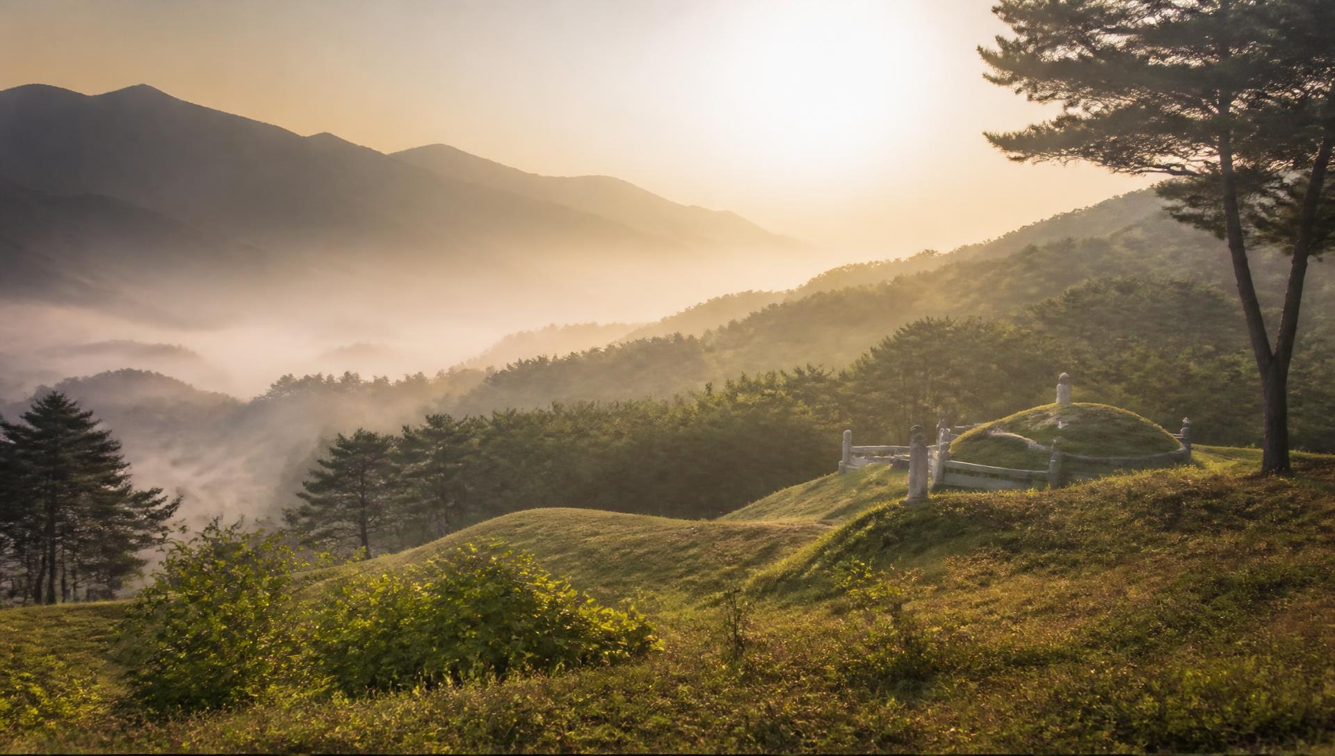새벽 안개가 내린 산자락의 묘역